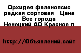 Орхидея фаленопсис редкая сортовая › Цена ­ 800 - Все города  »    . Ненецкий АО,Красное п.